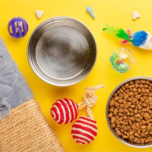 10-accesorios-que-necesitas-para-tu-perro-img55-n1t0