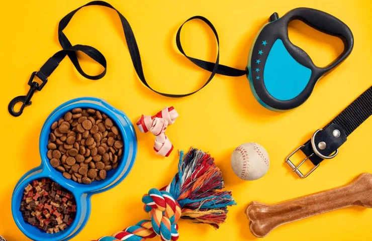 مستلزمات-الكلب-الأساسية-التي-يصعب-الإستغناء-عنها-لتحقيق-العناية-به